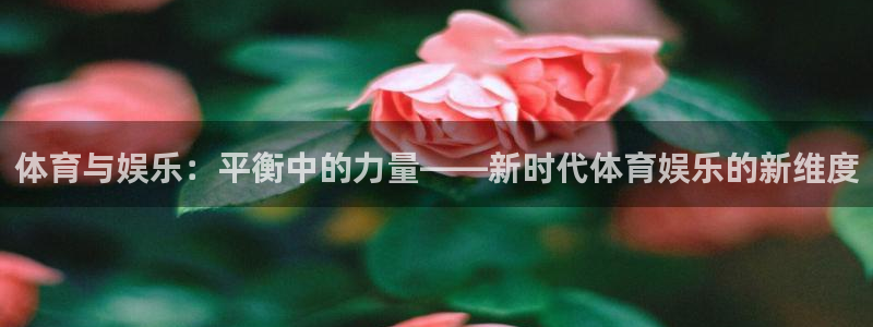 极悦注册