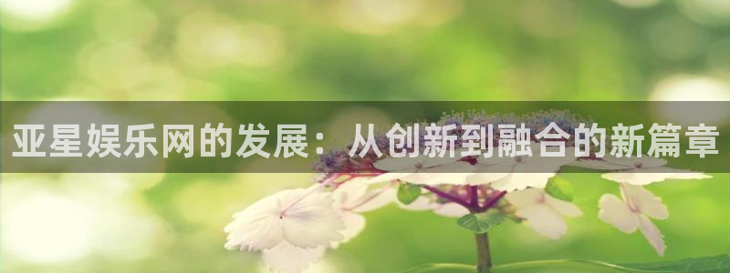 极悦