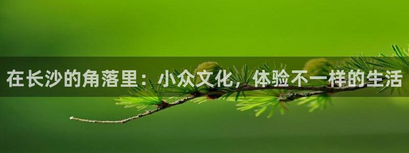 极悦平台
