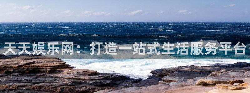 极悦代理22032