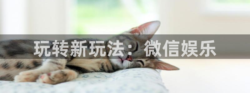 极悦平台注册
